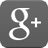 Google+